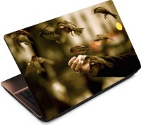 Anweshas Birds Hand Vinyl Laptop Decal 15.6   Laptop Accessories  (Anweshas)