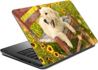 meSleep Dog LS-24-001 Vinyl Laptop Decal 15.6   Laptop Accessories  (meSleep)