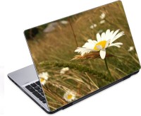 ezyPRNT Blooming Daisy Flower (14 to 14.9 inch) Vinyl Laptop Decal 14   Laptop Accessories  (ezyPRNT)