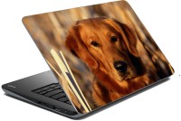 meSleep Dog LS-57-059 Vinyl Laptop Decal 15.6   Laptop Accessories  (meSleep)