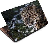 Anweshas Leopard LP068 Vinyl Laptop Decal 15.6   Laptop Accessories  (Anweshas)