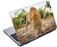 ezyPRNT Close up with Panther (14 to 14.9 inch) Vinyl Laptop Decal 14   Laptop Accessories  (ezyPRNT)
