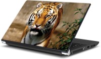 ezyPRNT Tiger's Royal Moves Wildlife (15 to 15.6 inch) Vinyl Laptop Decal 15   Laptop Accessories  (ezyPRNT)