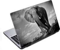 ezyPRNT Huge Elephant Wildlife (14 to 14.9 inch) Vinyl Laptop Decal 14   Laptop Accessories  (ezyPRNT)