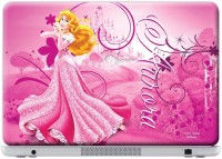 Macmerise Aurora - Skin for HP Probook 450 Vinyl Laptop Decal 15.6   Laptop Accessories  (Macmerise)
