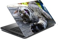 meSleep Cat 70-551 Vinyl Laptop Decal 15.6   Laptop Accessories  (meSleep)