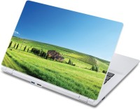 ezyPRNT The Green Grasses Nature (13 to 13.9 inch) Vinyl Laptop Decal 13   Laptop Accessories  (ezyPRNT)
