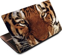 Anweshas Tiger T049 Vinyl Laptop Decal 15.6   Laptop Accessories  (Anweshas)