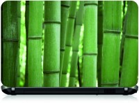 Box 18 Green Bamboos211 Vinyl Laptop Decal 15.6   Laptop Accessories  (Box 18)