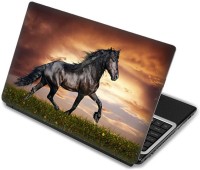 Shopmania Balck Horse Vinyl Laptop Decal 15.6   Laptop Accessories  (Shopmania)