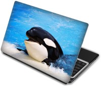 Shopmania Orca Whale Vinyl Laptop Decal 15.6   Laptop Accessories  (Shopmania)