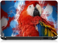 Box 18 Parrot Art1631579 Vinyl Laptop Decal 15.6   Laptop Accessories  (Box 18)