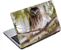 ezyPRNT The Dangerous Owl (14 to 14.9 inch) Vinyl Laptop Decal 14   Laptop Accessories  (ezyPRNT)