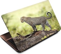 View Anweshas Leopard LP080 Vinyl Laptop Decal 15.6 Laptop Accessories Price Online(Anweshas)