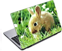 ezyPRNT The Mouse (14 to 14.9 inch) Vinyl Laptop Decal 14   Laptop Accessories  (ezyPRNT)