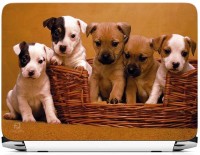 FineArts Five Cute Dogs Vinyl Laptop Decal 15.6   Laptop Accessories  (FineArts)