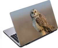 ezyPRNT Lonely Owl (14 to 14.9 inch) Vinyl Laptop Decal 14   Laptop Accessories  (ezyPRNT)