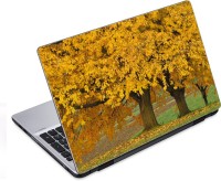 ezyPRNT Yellow Leaves in Autumn Nature (14 to 14.9 inch) Vinyl Laptop Decal 14   Laptop Accessories  (ezyPRNT)