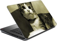meSleep Cat LS-24-003 Vinyl Laptop Decal 15.6   Laptop Accessories  (meSleep)