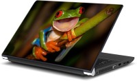ezyPRNT Kermit the frog (15 to 15.6 inch) Vinyl Laptop Decal 15   Laptop Accessories  (ezyPRNT)