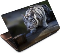 View Anweshas Tiger T041 Vinyl Laptop Decal 15.6 Laptop Accessories Price Online(Anweshas)