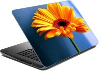 meSleep Flower 67-038 Vinyl Laptop Decal 15.6   Laptop Accessories  (meSleep)