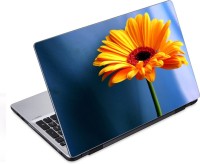 ezyPRNT Amazing Yellow Flower with Filament (14 to 14.9 inch) Vinyl Laptop Decal 14   Laptop Accessories  (ezyPRNT)