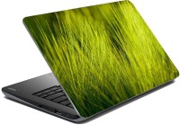 meSleep Nature LS-80-746 Vinyl Laptop Decal 15.6   Laptop Accessories  (meSleep)