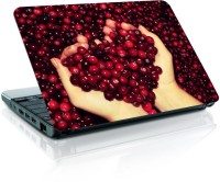 Shopmania Red Berry Vinyl Laptop Decal 15.6   Laptop Accessories  (Shopmania)