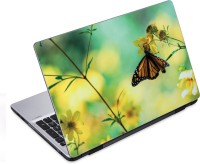 ezyPRNT Busy Butterfly (14 to 14.9 inch) Vinyl Laptop Decal 14   Laptop Accessories  (ezyPRNT)