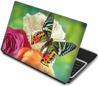 Shopmania Colorful butterfly Vinyl Laptop Decal 15.6   Laptop Accessories  (Shopmania)