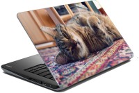 meSleep Cat 70-632 Vinyl Laptop Decal 15.6   Laptop Accessories  (meSleep)