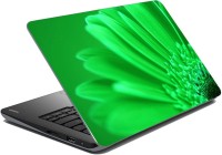 meSleep Green Flower Vinyl Laptop Decal 15.1   Laptop Accessories  (meSleep)