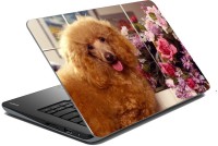 meSleep Dog LS-57-209 Vinyl Laptop Decal 15.6   Laptop Accessories  (meSleep)