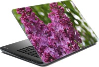 meSleep Flower LS-54-188 Vinyl Laptop Decal 15.6   Laptop Accessories  (meSleep)