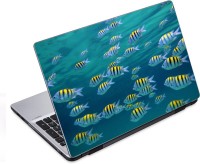 ezyPRNT The Fishes Family Aquatic (14 to 14.9 inch) Vinyl Laptop Decal 14   Laptop Accessories  (ezyPRNT)