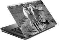 meSleep Wild Life LS-48-256 Vinyl Laptop Decal 15.6   Laptop Accessories  (meSleep)
