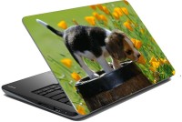 meSleep Dog LS-57-213 Vinyl Laptop Decal 15.6   Laptop Accessories  (meSleep)
