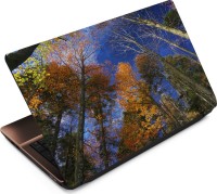 Finest Autumn ATM029 Vinyl Laptop Decal 15.6   Laptop Accessories  (Finest)