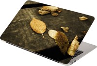 Anweshas Leaves on Wood Vinyl Laptop Decal 15.6   Laptop Accessories  (Anweshas)