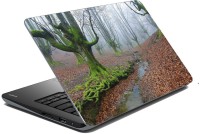 meSleep Nature LS-40-372 Vinyl Laptop Decal 15.6   Laptop Accessories  (meSleep)
