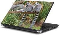 ezyPRNT Long Tailed Lemurs Wildlife (15 to 15.6 inch) Vinyl Laptop Decal 15   Laptop Accessories  (ezyPRNT)