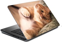 meSleep Cat 70-541 Vinyl Laptop Decal 15.6   Laptop Accessories  (meSleep)