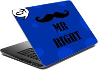 meSleep Mr Right LS-26-116 Vinyl Laptop Decal 15.6   Laptop Accessories  (meSleep)