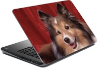 meSleep Dog LS-57-151 Vinyl Laptop Decal 15.6   Laptop Accessories  (meSleep)