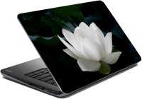meSleep 3D White Beautiful Floral Vinyl Laptop Decal 15.1   Laptop Accessories  (meSleep)