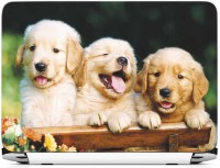 FineArts Three Dog on Table Vinyl Laptop Decal 15.6   Laptop Accessories  (FineArts)