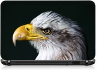 VI Collections EAGLE IN WHITE pvc Laptop Decal 15.6   Laptop Accessories  (VI Collections)
