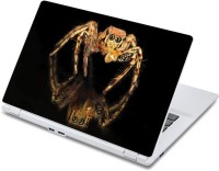 ezyPRNT The Spider on Black Mirror Nature (13 to 13.9 inch) Vinyl Laptop Decal 13   Laptop Accessories  (ezyPRNT)