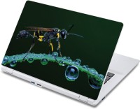 ezyPRNT Magnified view of Housefly (13 to 13.9 inch) Vinyl Laptop Decal 13   Laptop Accessories  (ezyPRNT)